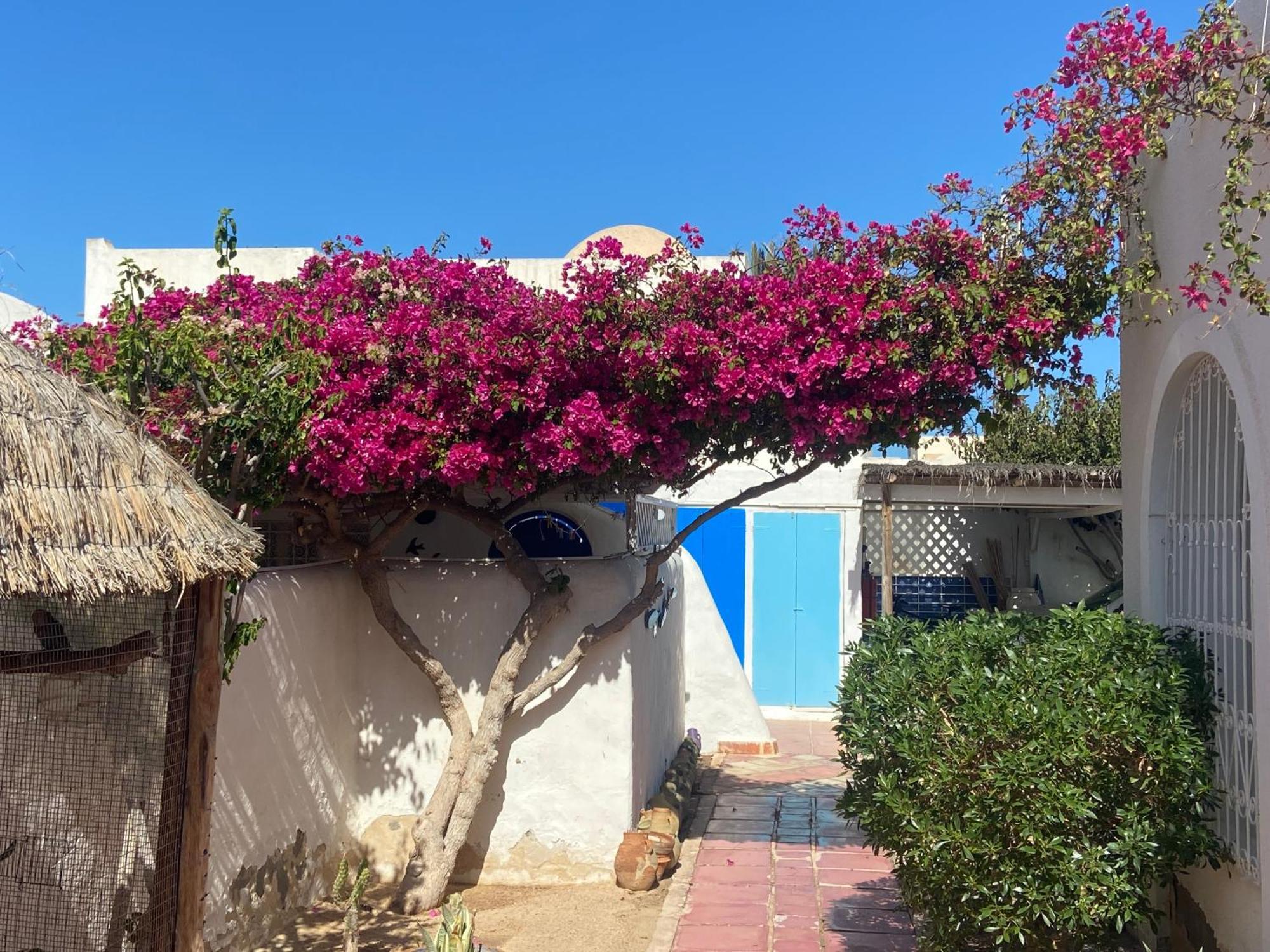 Residence Dar Yasmina Mezraia Exterior photo